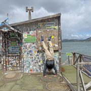 2025 CHILE Punta Arenas Beagle Channel